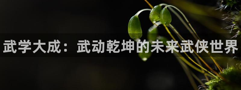 韩漫漫画高清版：武学大成：武动乾坤的未来武侠世界配图