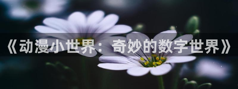 韩漫古风漫画：《动漫小世界：奇妙的数字世界》配图