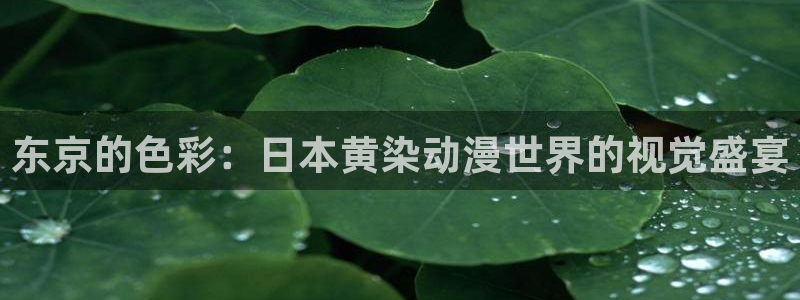 韩漫漫画在哪看：东京的色彩：日本黄染动漫世界的视觉盛宴配图