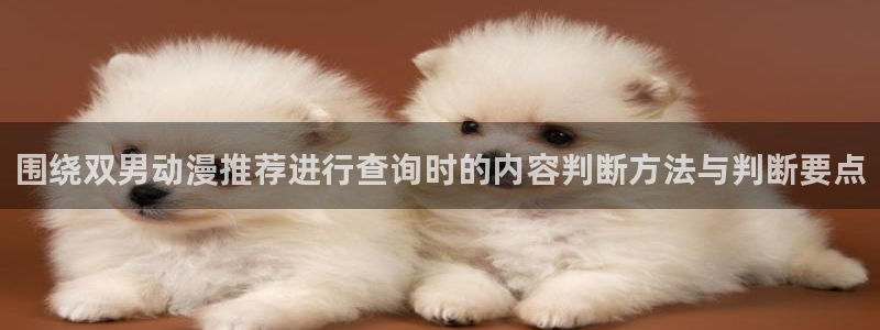 韩漫漫画排行:围绕双男动漫推荐进行查询时的内容判断方法与判断要点配图